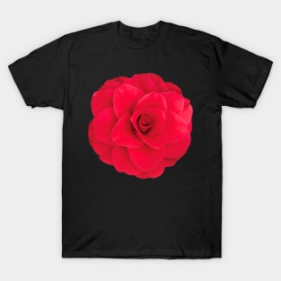 Red Camellia Bloom Close-up T-Shirt